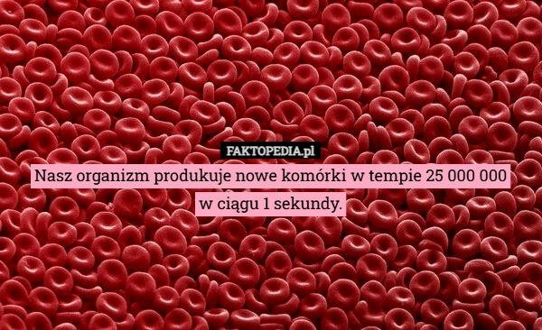 
    Nasz organizm produkuje nowe komórki w tempie 25 000 000
w ciągu 1 sekundy.