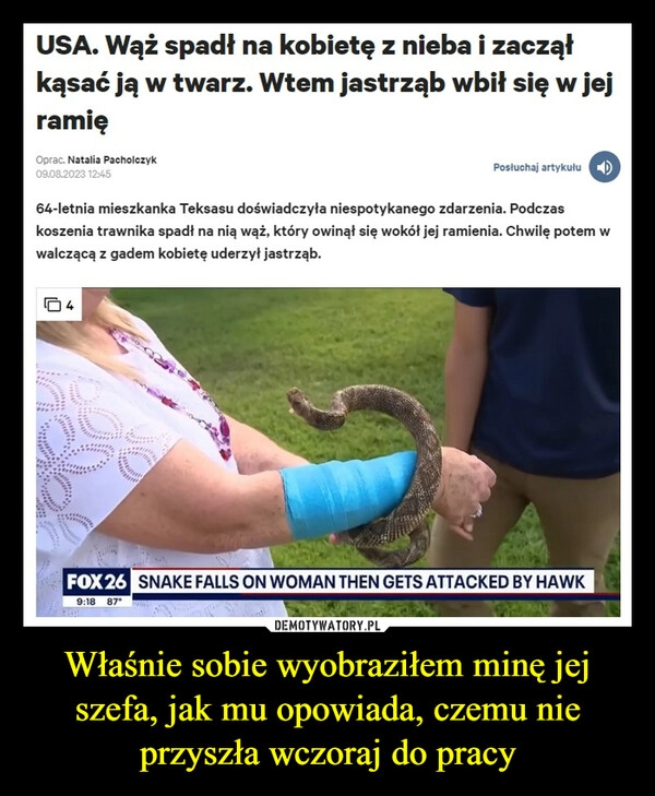 
    Właśnie sobie wyobraziłem minę jej szefa, jak mu opowiada, czemu nie przyszła wczoraj do pracy