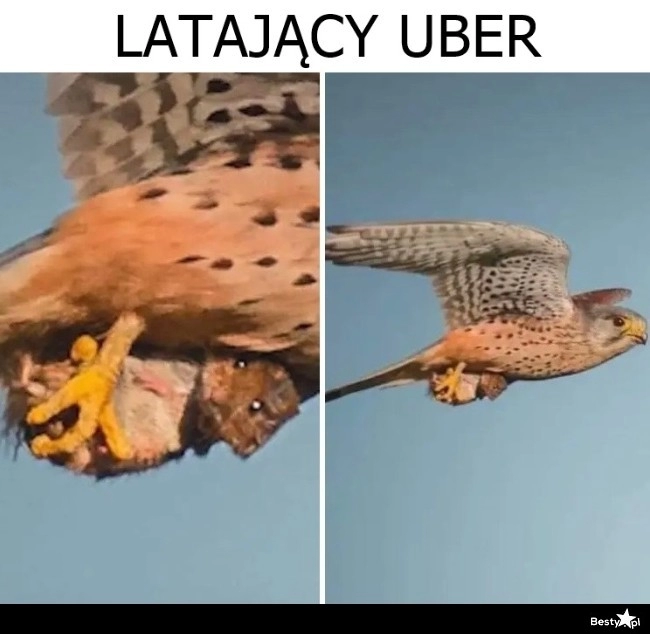 
    Latający Uber 