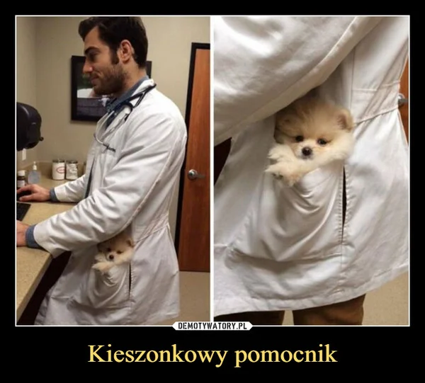 
    Kieszonkowy pomocnik