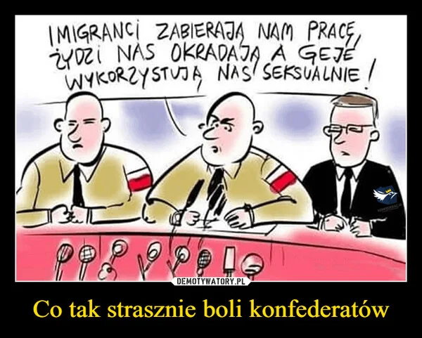 
    Co tak strasznie boli konfederatów