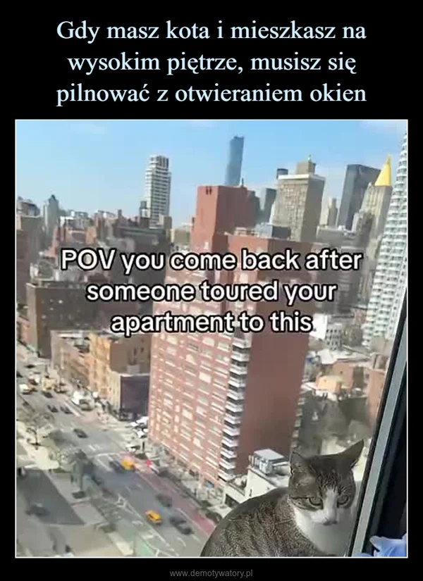 
    Gdy masz kota i mieszkasz na wysokim piętrze, musisz się pilnować z otwieraniem okien