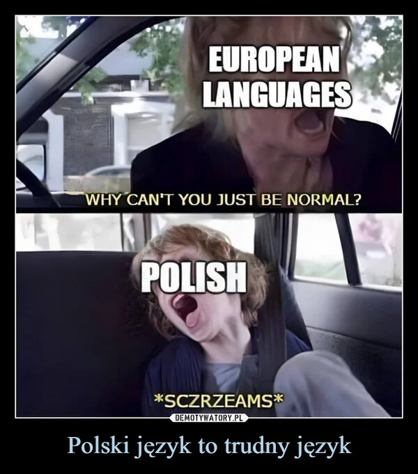 
    Polski język to trudny język