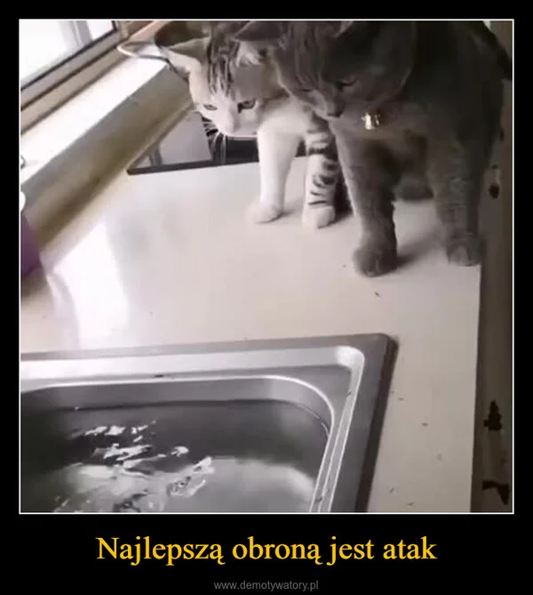 
    Najlepszą obroną jest atak