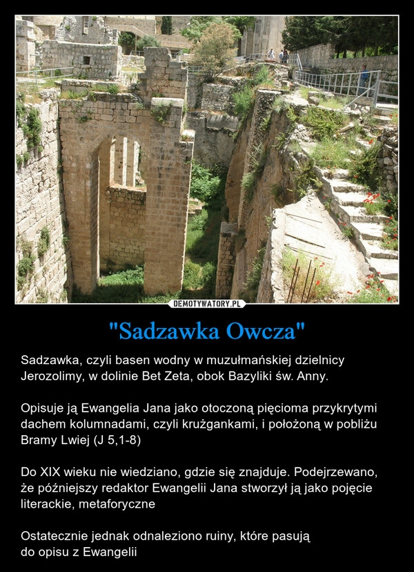 
    "Sadzawka Owcza"