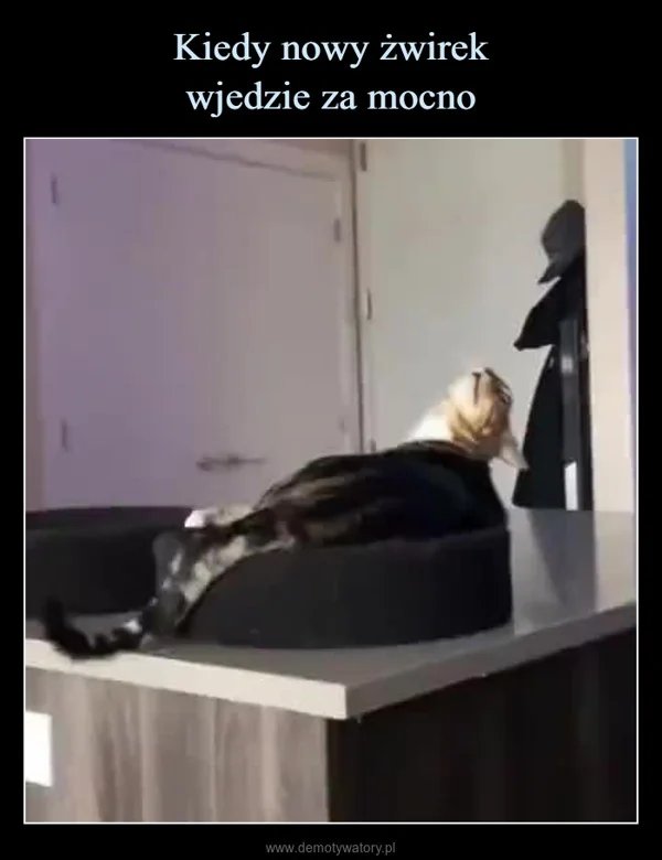 
    Kiedy nowy żwirek wjedzie za mocno