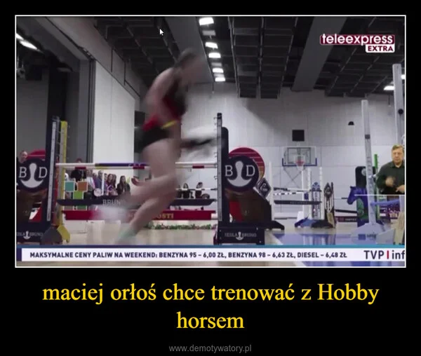 
    maciej orłoś chce trenować z Hobby horsem