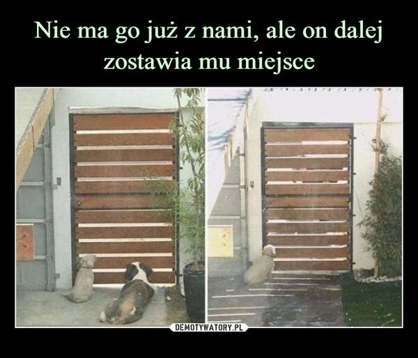 
    Nie ma go już z nami, ale on dalej zostawia mu miejsce