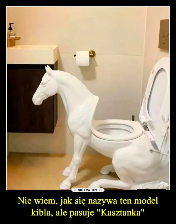 
    Nie wiem, jak się nazywa ten model kibla, ale pasuje 