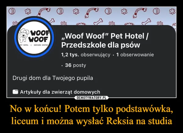 
    No w końcu! Potem tylko podstawówka, liceum i można wysłać Reksia na studia