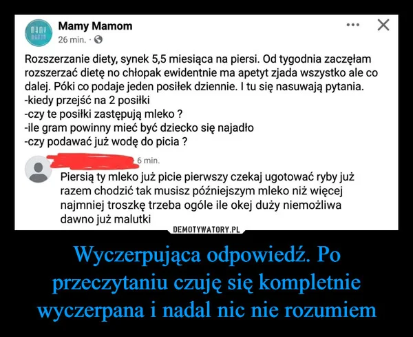 
    Wyczerpująca odpowiedź. Po przeczytaniu czuję się kompletnie wyczerpana i nadal nic nie rozumiem