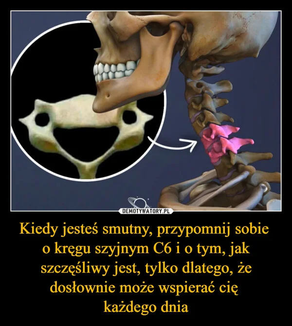 
    Kiedy jesteś smutny, przypomnij sobie o kręgu szyjnym C6 i o tym, jak szczęśliwy jest, tylko dlatego, że dosłownie może wspierać cię każdego dnia