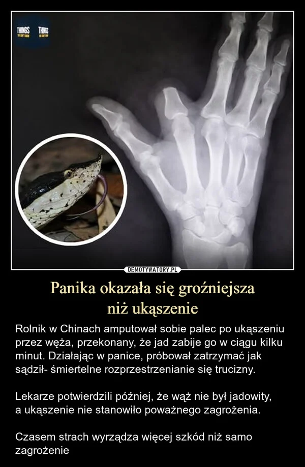 
    Panika okazała się groźniejsza niż ukąszenie