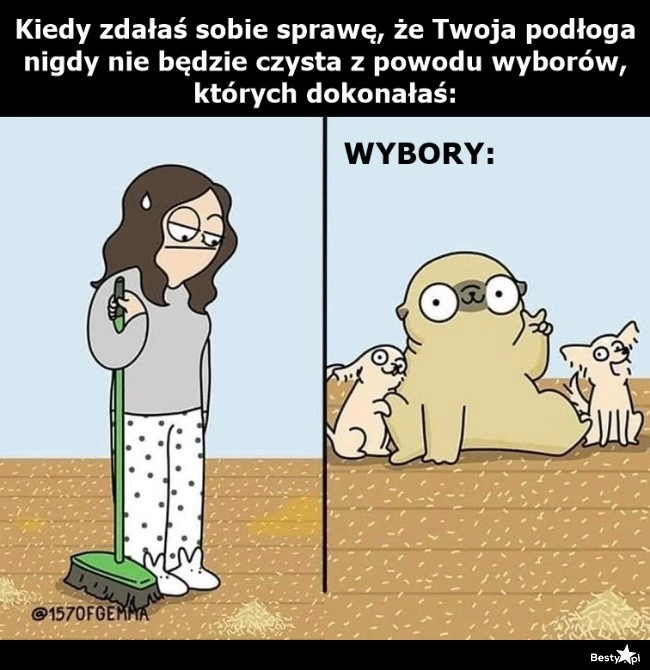 
    Zapomnij o idealnej czystości 