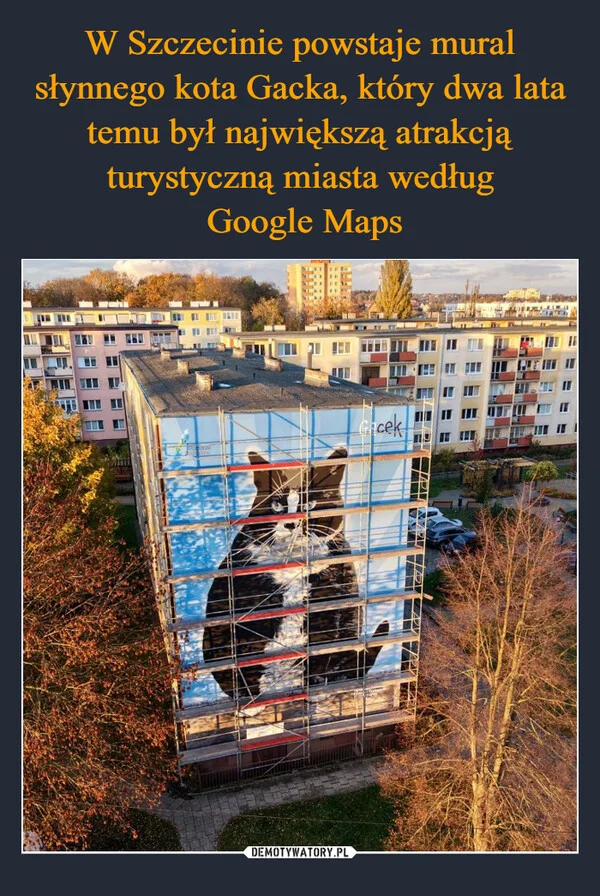 
    W Szczecinie powstaje mural słynnego kota Gacka, który dwa lata temu był największą atrakcją turystyczną miasta według Google Maps