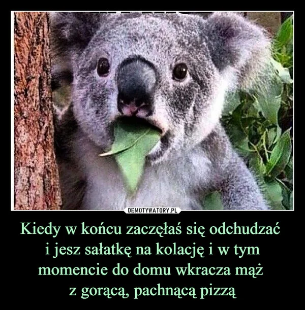 
    Kiedy w końcu zaczęłaś się odchudzać i jesz sałatkę na kolację i w tym momencie do domu wkracza mąż z gorącą, pachnącą pizzą