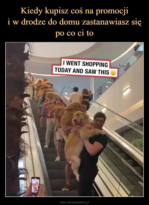 
    Kiedy kupisz coś na promocji i w drodze do domu zastanawiasz się po co ci to