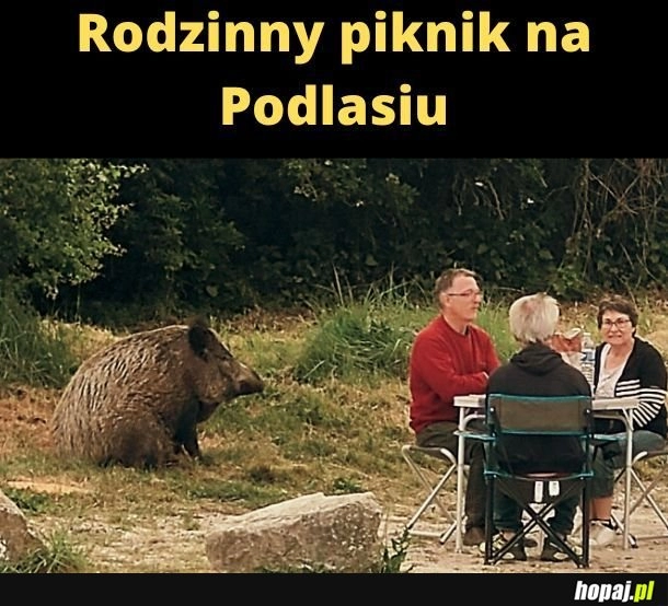 
    Podlasie. 