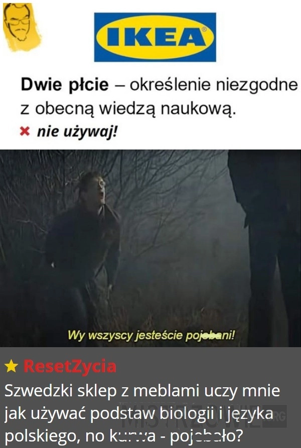 
    Płcie