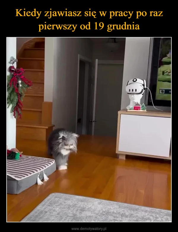 
    Kiedy zjawiasz się w pracy po raz pierwszy od 19 grudnia