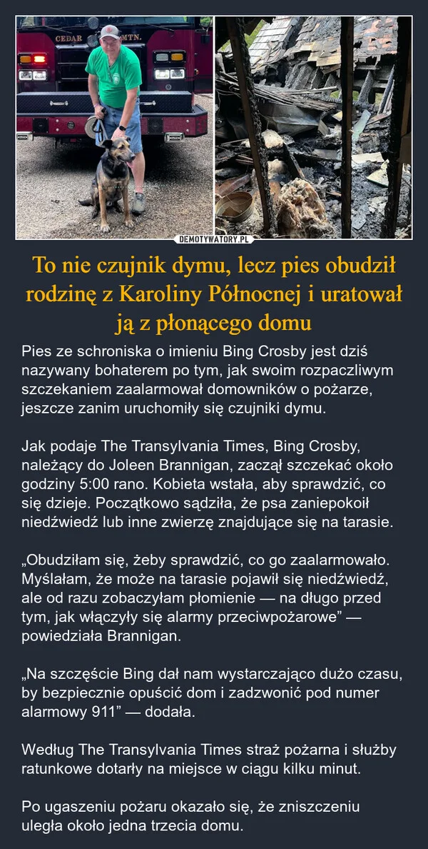 
    To nie czujnik dymu, lecz pies obudził rodzinę z Karoliny Północnej i uratował ją z płonącego domu