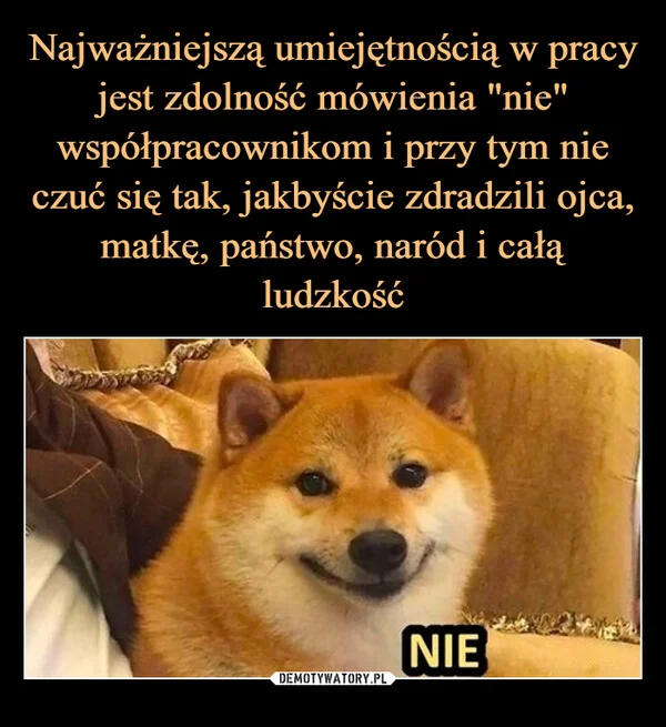 
    Najważniejszą umiejętnością w pracy jest zdolność mówienia 