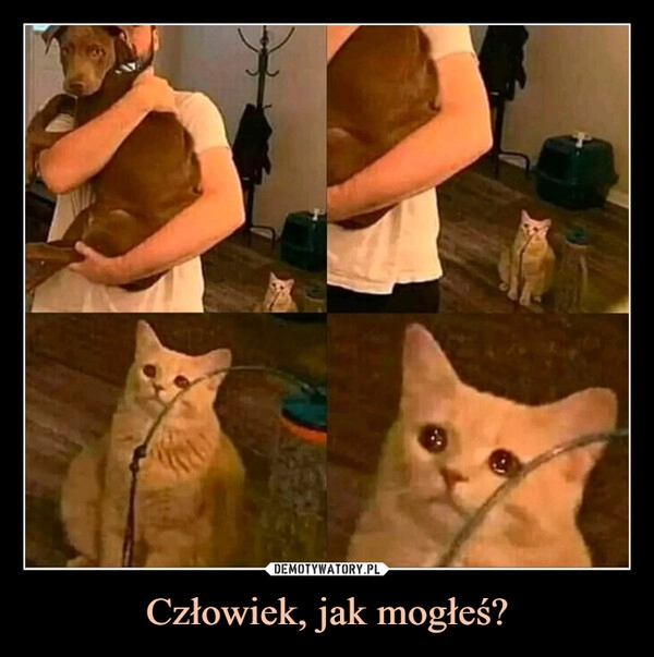 
    
Człowiek, jak mogłeś? 