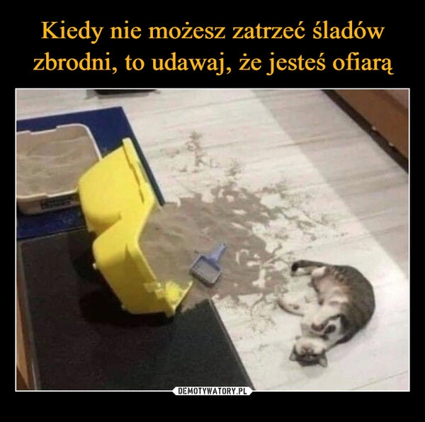 
    Kiedy nie możesz zatrzeć śladów zbrodni, to udawaj, że jesteś ofiarą