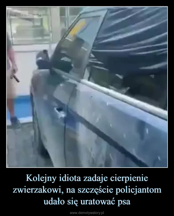 
    Kolejny idiota zadaje cierpienie zwierzakowi, na szczęście policjantom udało się uratować psa