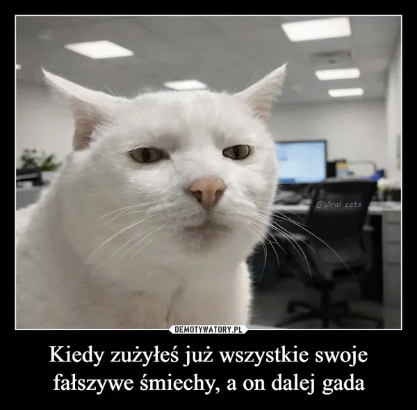 Kiedy zużyłeś już wszystkie swoje fałszywe śmiechy, a on dalej gada