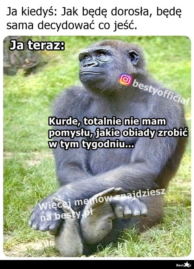 
    Jest dylemat 