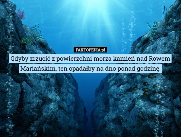 
    Gdyby zrzucić z powierzchni morza kamień nad Rowem Mariańskim, ten opadałby