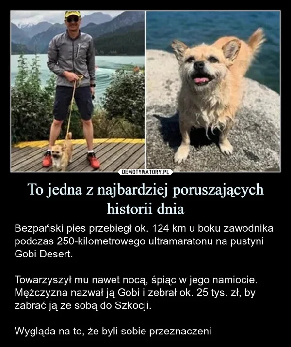 
    To jedna z najbardziej poruszających historii dnia