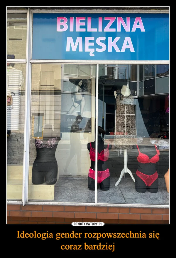 
    Ideologia gender rozpowszechnia się coraz bardziej