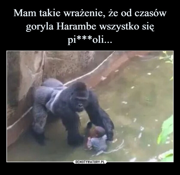 
    Mam takie wrażenie, że od czasów goryla Harambe wszystko się pi***oli...