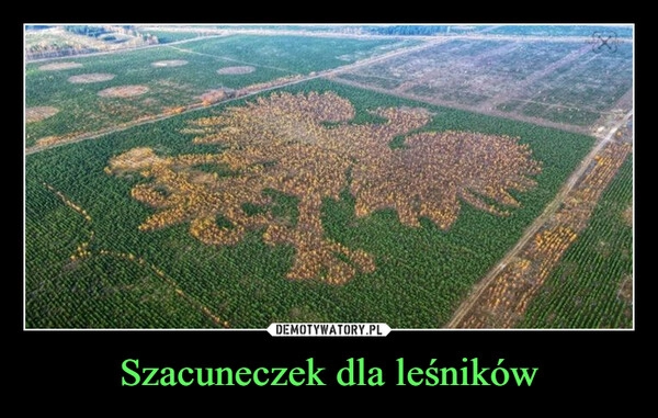 
    Szacuneczek dla leśników