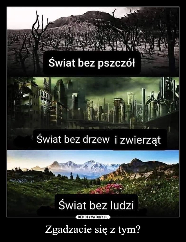 
    Zgadzacie się z tym?