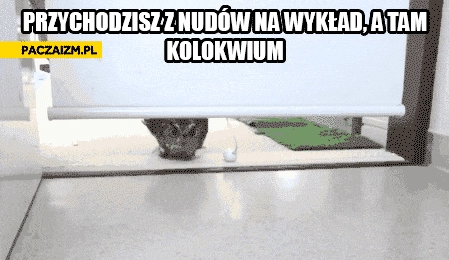 
    Przychodzisz z nudów na wykład a tam kolokwium