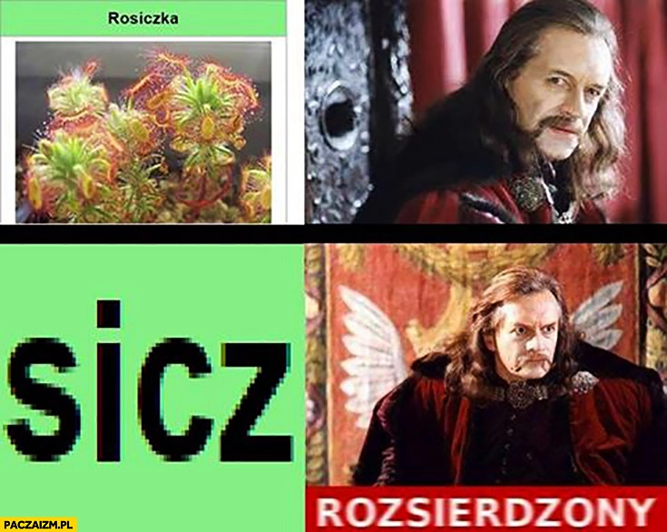 
    Rosiczka sicz rozsierdzony triggered