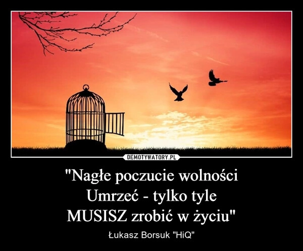 
    "Nagłe poczucie wolności
Umrzeć - tylko tyle
MUSISZ zrobić w życiu"