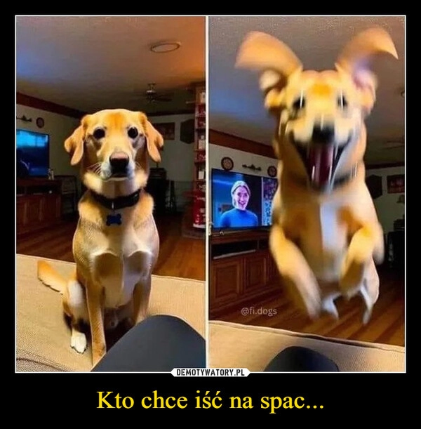 
    Kto chce iść na spac...