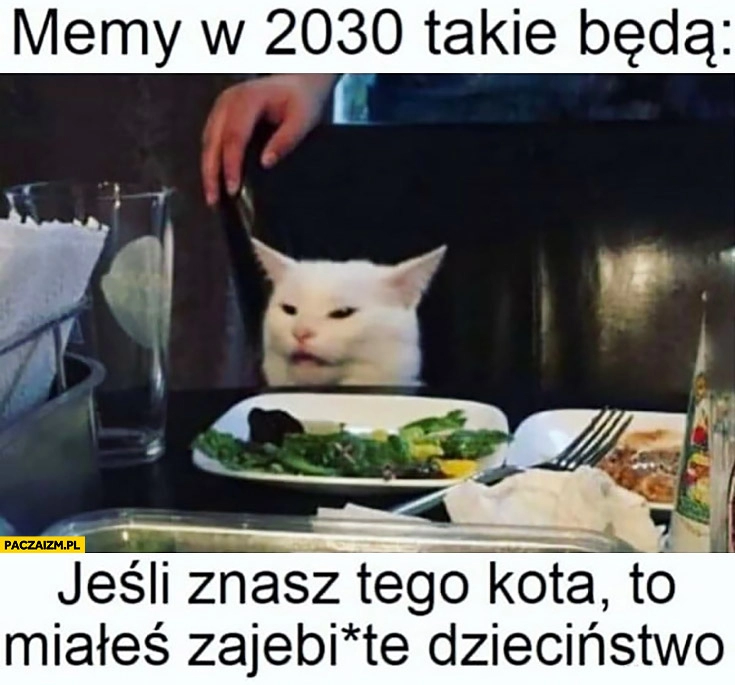 
    Memy w 2030 roku takie będą: jeśli znasz tego kota to miałeś zarąbiste dzieciństwo