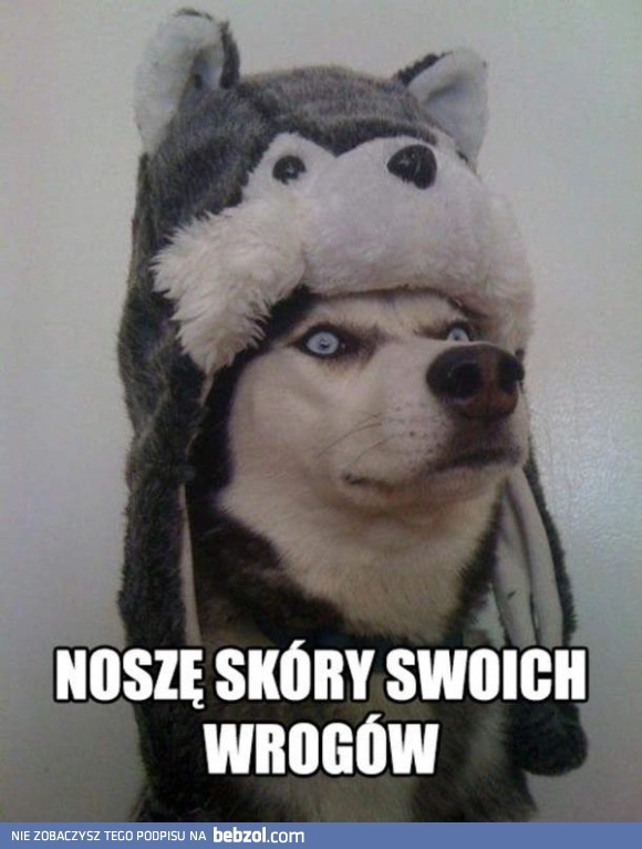 
    Powiało grozą