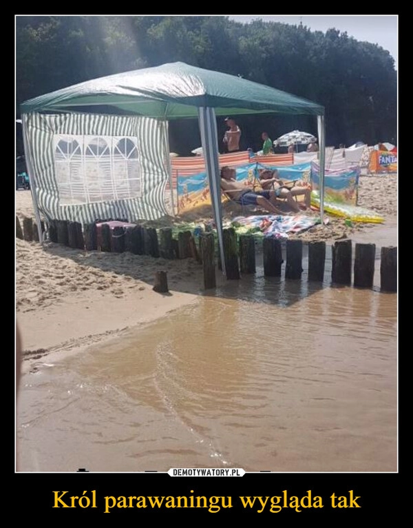 
    Król parawaningu wygląda tak