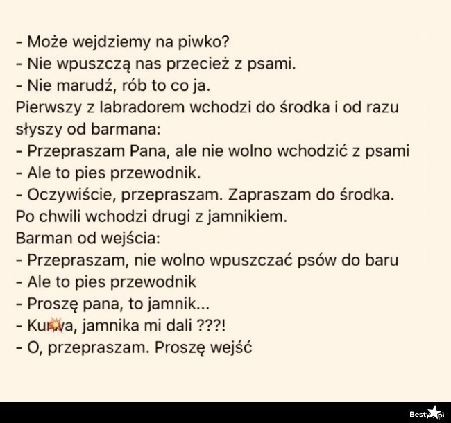 
    Jak wejść z psem do baru 