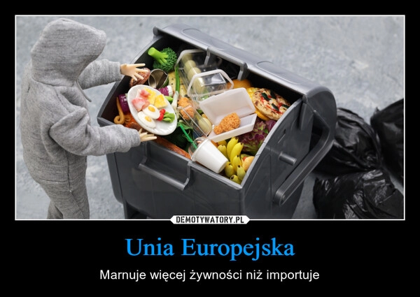 
    Unia Europejska