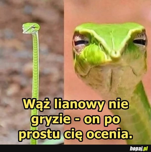 
    To gorzej