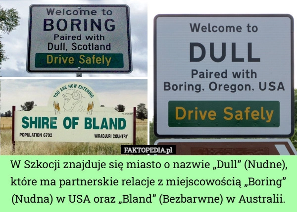
    W Szkocji znajduje się miasto o nazwie „Dull” (Nudne), które ma partnerskie
