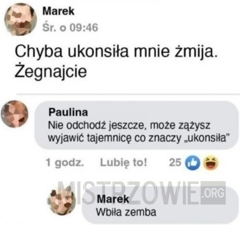 
    Żmija