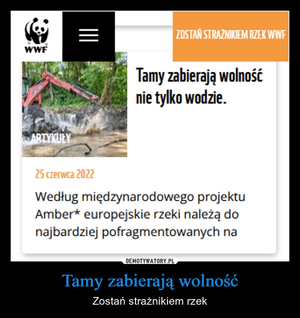 
    Tamy zabierają wolność